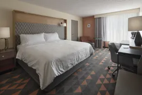 Holiday Inn Asheville - Biltmore West by IHG - Chambre