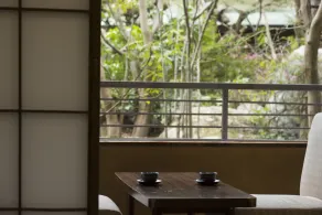 Awazu-Spa Tourist Hotel Kitahachi - Room