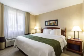 Quality Inn Marshall near University - Rom