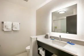 Holiday Inn Express & Suites Jacksonville - Town Center by IHG - Bathroom
