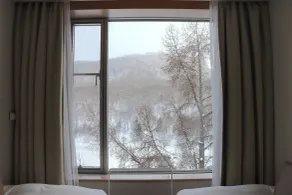 Shigakogen Prince Hotel - Vista dalla camera
