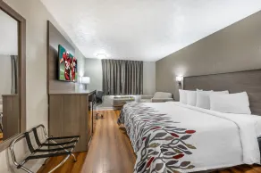 Red Roof Inn Greencastle South - Cloverdale - Room