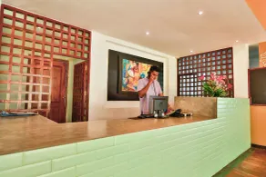 The Palms - Reception