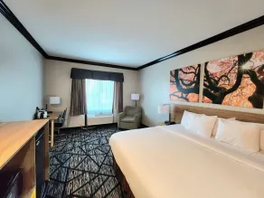 Days Inn by Wyndham Baton Rouge I-10 - Chambre