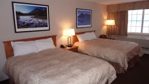 Woodlands Inn & Suites - Rom