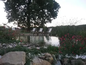 Mas La Serra - Pool