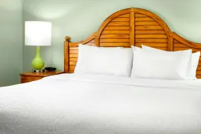 Hampton Inn & Suites Savannah/Midtown - Rom