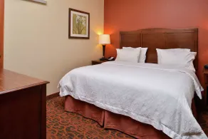 Hampton Inn Idaho Falls/Airport - Chambre