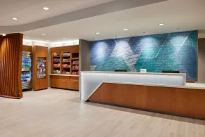SpringHill Suites by Marriott Frederica - Réception