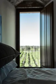 Masseria Torleanzi Wine Relais - View from room