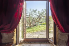 Masseria Fortificata Lo Zafferaneto - Ausblick vom Zimmer