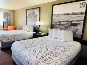 Baymont by Wyndham New Braunfels TX - Zimmer