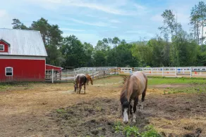 On Horse Farm! Home w/ Pond Access in Spring Creek - Interiör