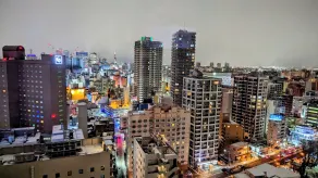 Premier Hotel Nakajima Park Sapporo - Udsigt fra værelset