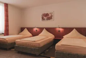 Parkhotel Friedrichstrasse - Chambre