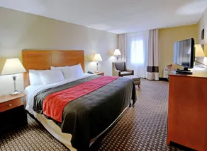 Comfort Inn & Suites Raphine - Lexington near I-81 and I-64 - Rom