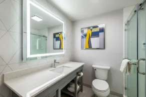Comfort Suites Longview North - Salle de bain