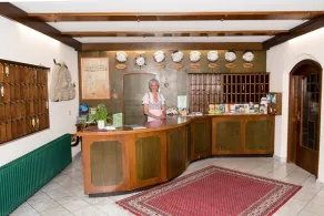 Alpen-Hotel Seimler - Receção