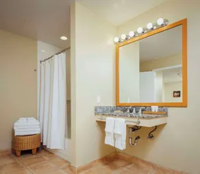 Wild Palms, a JdV by Hyatt Hotel - Salle de bain