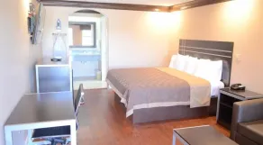 Regency Inn Humble IAH - Intercontinental - Chambre