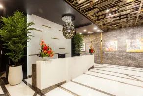 Hotel Platinia - Reception