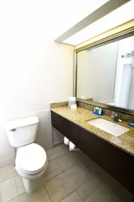 Holiday Inn Express Hotel & Suites Port Clinton-Catawba Island by IHG - Salle de bain