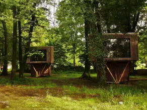 L'étape en forêt - Habitación