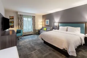 Hampton Inn & Suites Snellville Atlanta NE - Habitación