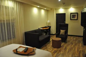Hampton by Hilton Vadodara-Alkapuri - View from room
