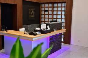 Villa 33 Kashikojima - Réception