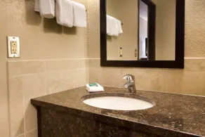 Drury Inn & Suites Austin North - Bathroom