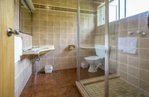 Meramie Motor Inn - Bathroom