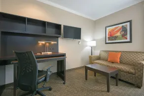 TownePlace Suites by Marriott Seguin - Chambre