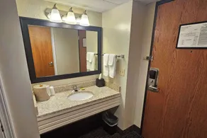 Americinn by Wyndham Birch Run - Frankenmuth - Salle de bain