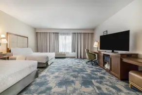 Hampton Inn & Suites Dallas/Plano-East - Chambre