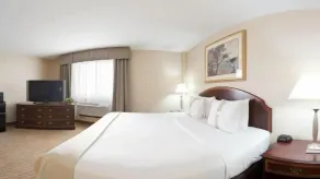 Holiday Inn & Suites Chicago-Carol Stream Wheaton by IHG - Chambre