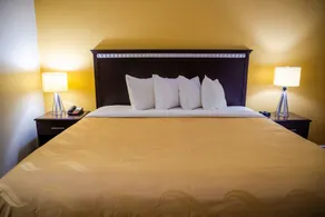 Quality Inn Richmond Hill - Savannah I-95 - Chambre