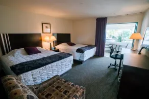Lemon Tree Inn - Room