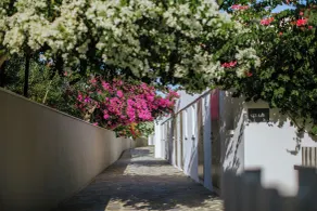 Nissi Beach Resort - Chambre