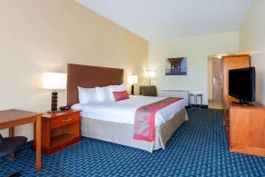Ramada Plaza by Wyndham Virginia Beach Oceanfront - Room