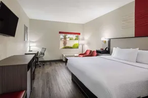 Ramada by Wyndham Locust Grove - Chambre
