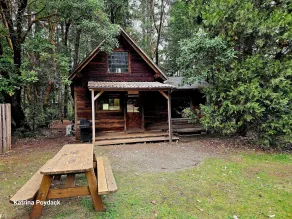 Out 'N' About Treehouse Treesort - Udsigt fra værelset