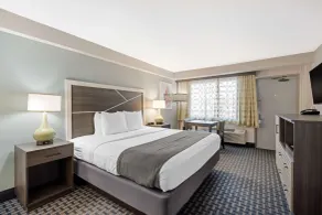 Best Western Plus Daytona Inn Seabreeze - Chambre