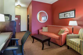 Comfort Suites Leesville near Fort Johnson - Zimmer