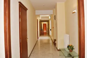 Hotel Napoleon - Réception