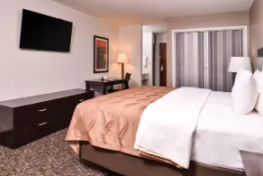 Quality Inn & Suites Beaumont - Quarto