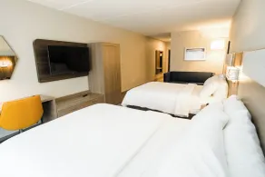 Holiday Inn Express Hotel & Suites Kodak East-Sevierville by IHG - Chambre