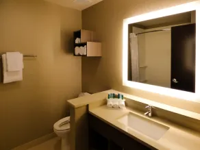 Holiday Inn Express & Suites Plymouth - Ann Arbor Area by IHG - Chambre