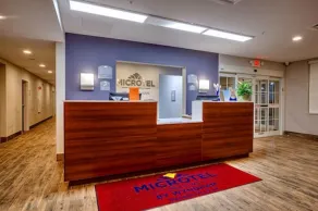 Microtel Inn & Suites by Wyndham Niagara Falls - Réception