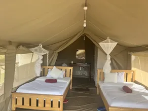 Sunset camp Masai Mara - Room
